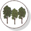 Greenvale Infant School logo