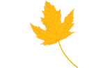 The Maplesden Noakes School logo